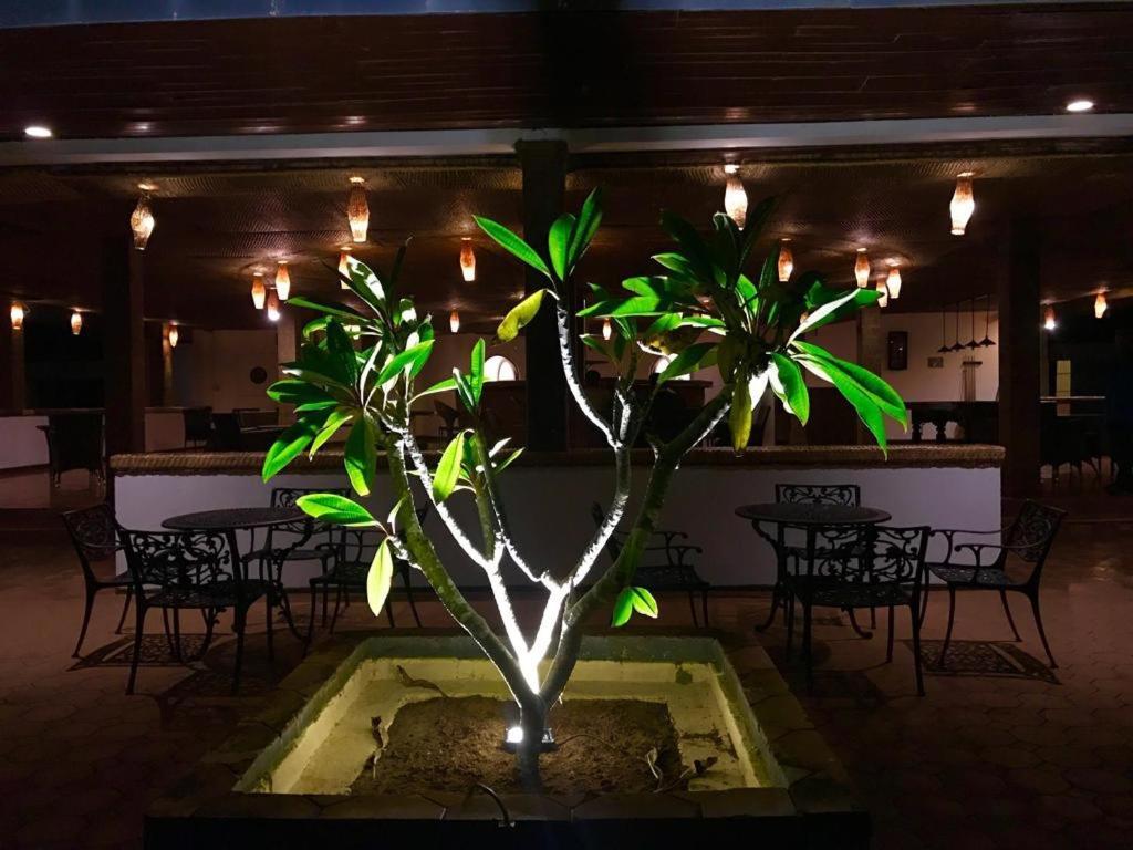 Peacock Beach Hotel Hambantota Bagian luar foto